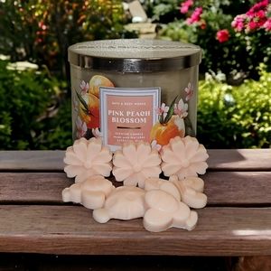 Pink Peach Blossom | Wax Melts | Bath and Body Works